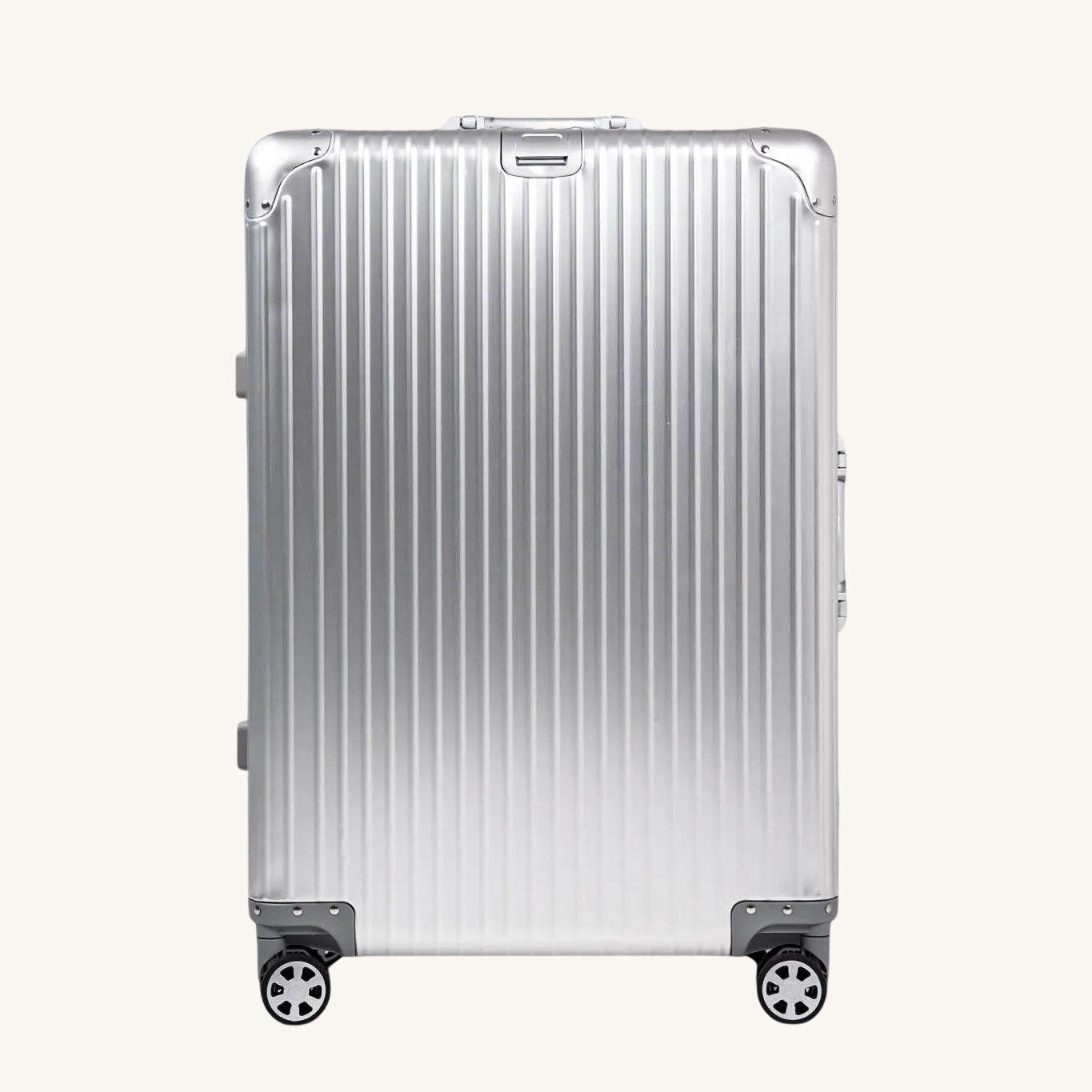 Aluminum Large Check-In